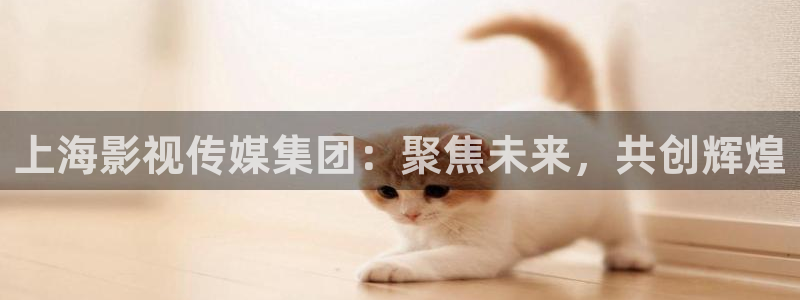 被窝电影：上海影视传媒集团：聚焦未来，共创辉煌
