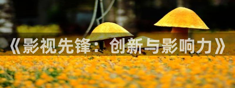 西瓜被窝电影院：《影视先锋：创新与影响力》