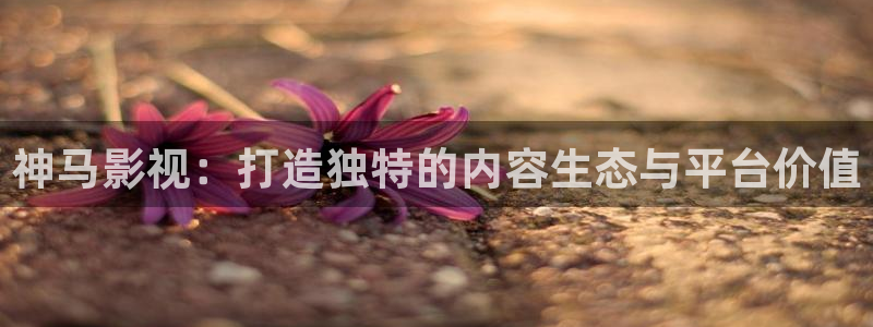 被窝午夜影院：神马影视：打造独特的内容生态与平台价值