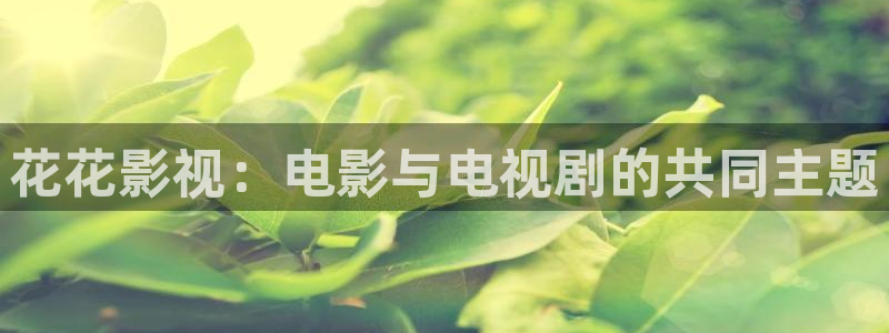 www.被窝电影：花花影视：电影与电视剧的共同主题