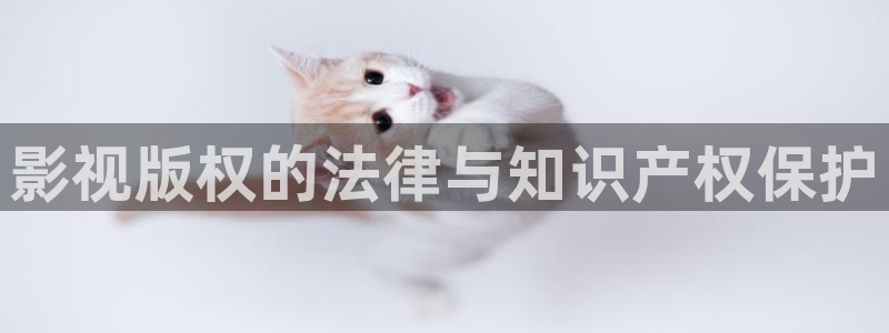 第九在线影院97精品被窝影院：影视版权的法律与知识产权保护